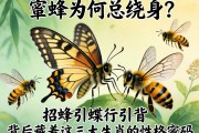 蜂蝶為何總繞身？招蜂引蝶背后藏著這三大生肖的性格密碼