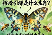 招蜂引蝶是什么生肖？揭秘生肖中的魅力象征