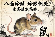 八面玲瓏，玲瓏何處？生肖謎底揭曉，鼠