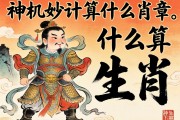 神機妙算是什么生肖