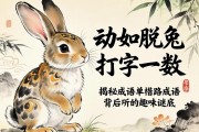 動如脫兔打一數(shù)字，揭秘成語背后的趣味謎底