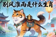 別風(fēng)淮雨是什么生肖