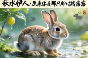 秋水伊人，原來你是那只卯時踏露的兔