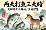 兩天打魚(yú)三天網(wǎng)暗指哪個(gè)生肖？解讀成語(yǔ)背后的生肖智慧