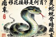 移花接木是何肖？靈蛇蛻骨暗藏玄