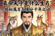 真命天子是什么生肖？揭秘屬相與緣分的千年之謎