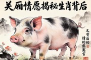 一廂情愿，揭秘生肖豬背后的情感寓言