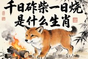 千日斫柴一日燒是什么生肖